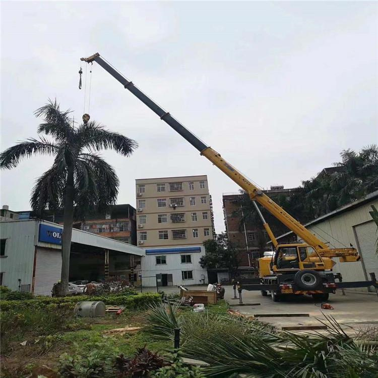 开阳汽车吊出租多少钱？全面解析与市场行情